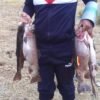 Cuchara Spoon Lure Caramelitos para trucha 11g Color6 - Imagen 9