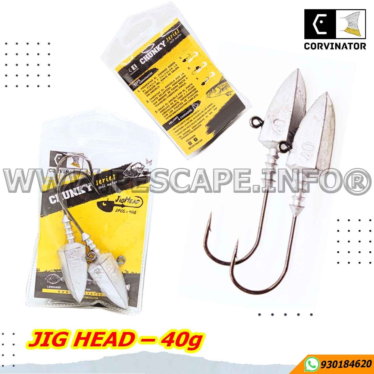 KIT JIG HEAD PLOMO + ANZUELO SINKING – 40g — 2 UND Para Pesca | IND. PACK
