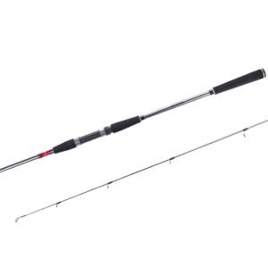 Caña Spinning Daiwa Seahunter X Seatrout 3,10m - 10-40g