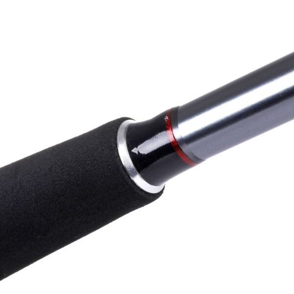 Caña Spinning Daiwa Seahunter X Seatrout 3,10m - 10-40g - Imagen 10