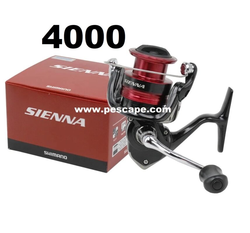 Shimano Sienna Fg 4000 - Mulinelli Frizione Anteriore | Nencini Sport