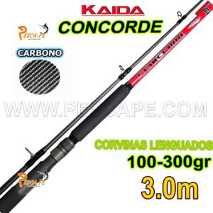 Caña de pescar Kaida Concorde Carbono 3.0m Spinning 100-300gr