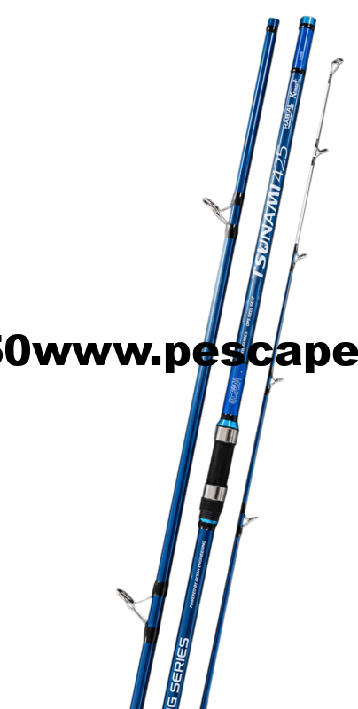 Caña SurfCasting Ocean Tsunami 4.25m 100–200g Radial 30Ton