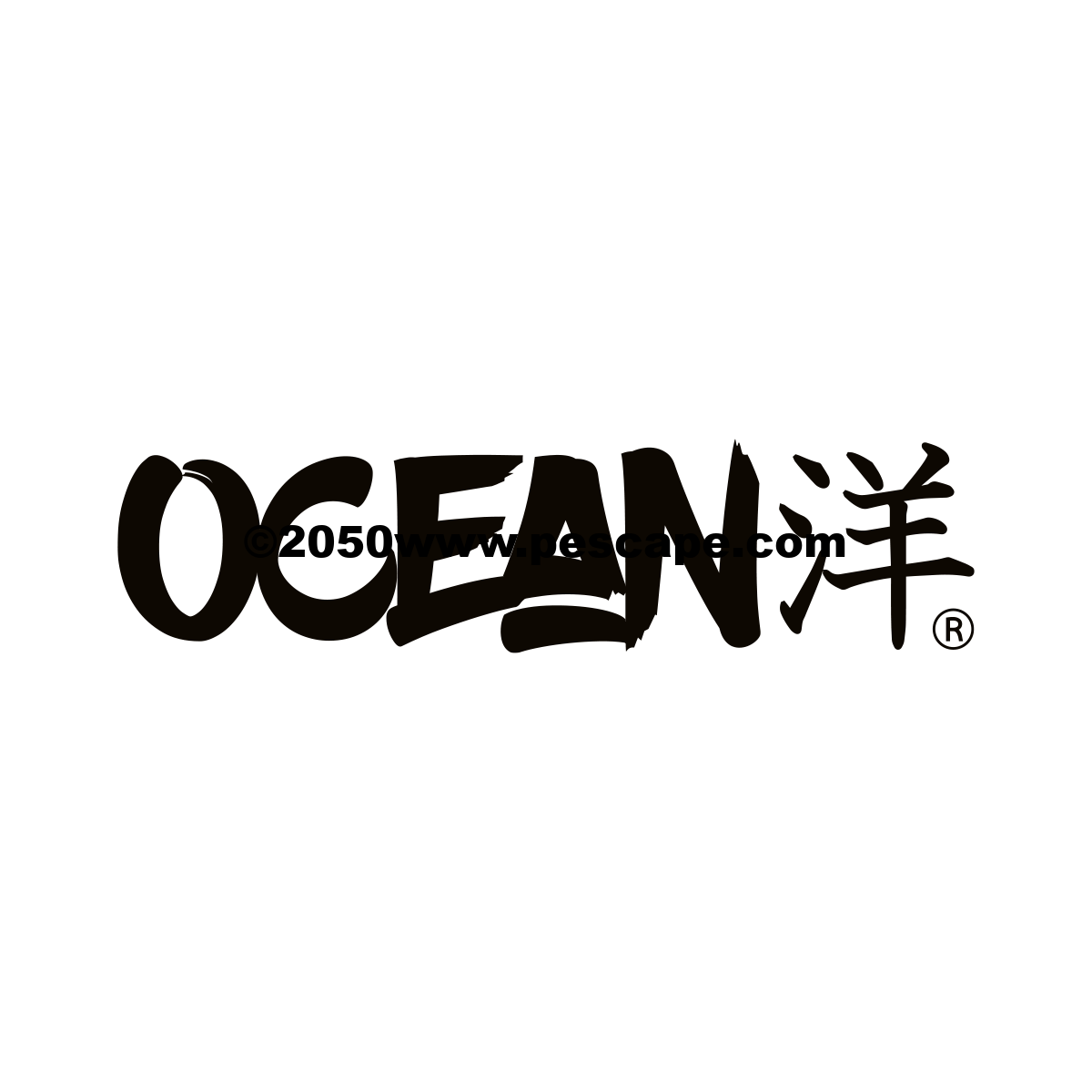 Caña Surfcasting Ocean Raptor 425 120-250g Carbono - Imagen 3