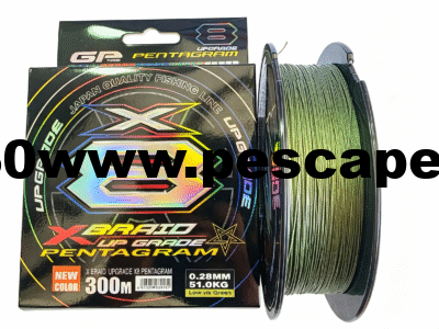 MULTIFILAMENTO X-BRAID PENTAGRAM 0.28mm 50kg 8 hebras 300m | VERDE